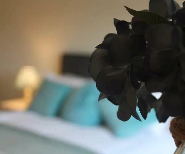 Teach Traigheanach *